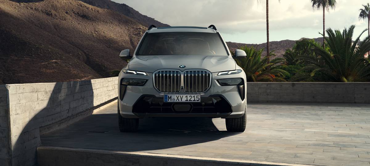A sleek gray BMW SUV parked on a patio with palm trees and mountains in the background, under a partly cloudy sky.