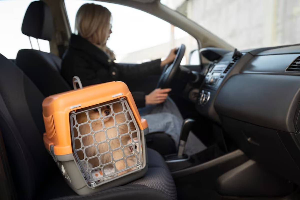A woman drives a car with a pet carrier on the passenger seat, indicating she is traveling with a pet.