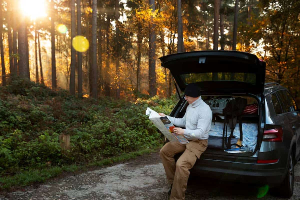 A person sitting on the tailgate of a car in a forest, reading a map with sunlight filtering through the trees.